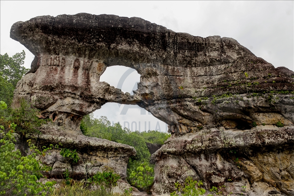 Colombia's jungle: El Guaviare, The Orion's Gate 