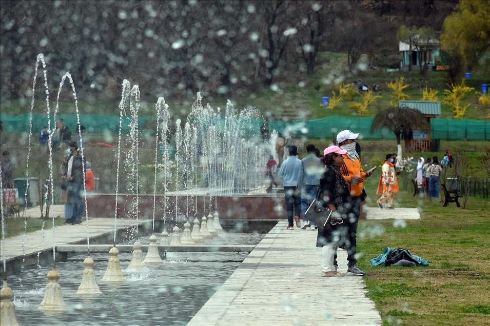 Taman Tulip terbesar Asia dibuka di Kashmir