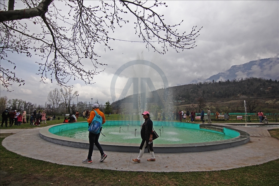 Taman Tulip terbesar Asia dibuka di Kashmir