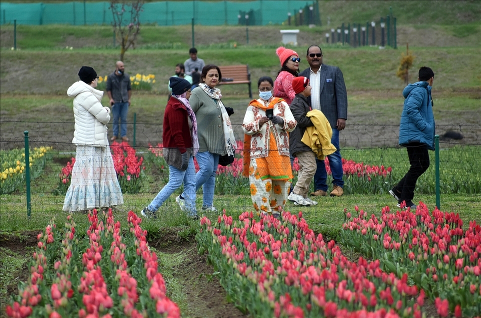Taman Tulip terbesar Asia dibuka di Kashmir