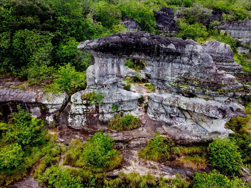 Colombia's jungle: El Guaviare, The Orion's Gate 