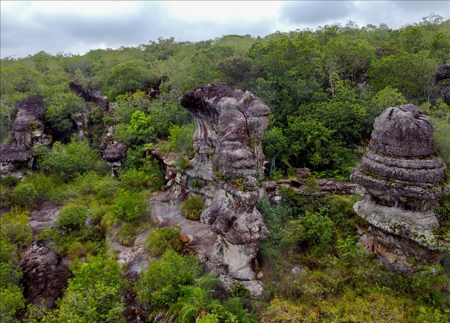 Colombia's jungle: El Guaviare, The Orion's Gate 