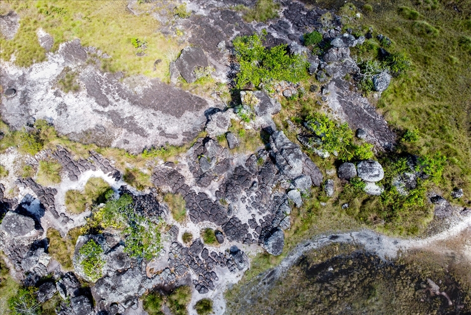 La ciudad de piedra del Escudo Guayanés, en la puerta de la Amazonía colombiana