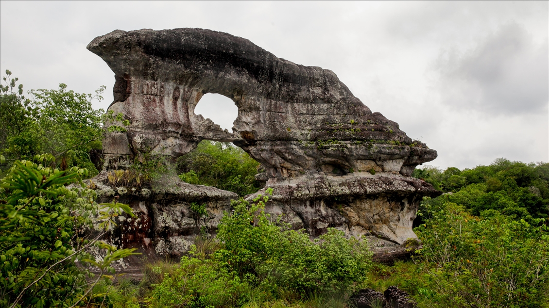 Colombia's jungle: El Guaviare, The Orion's Gate 