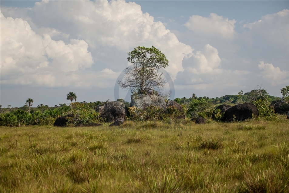 La ciudad de piedra del Escudo Guayanés, en la puerta de la Amazonía colombiana