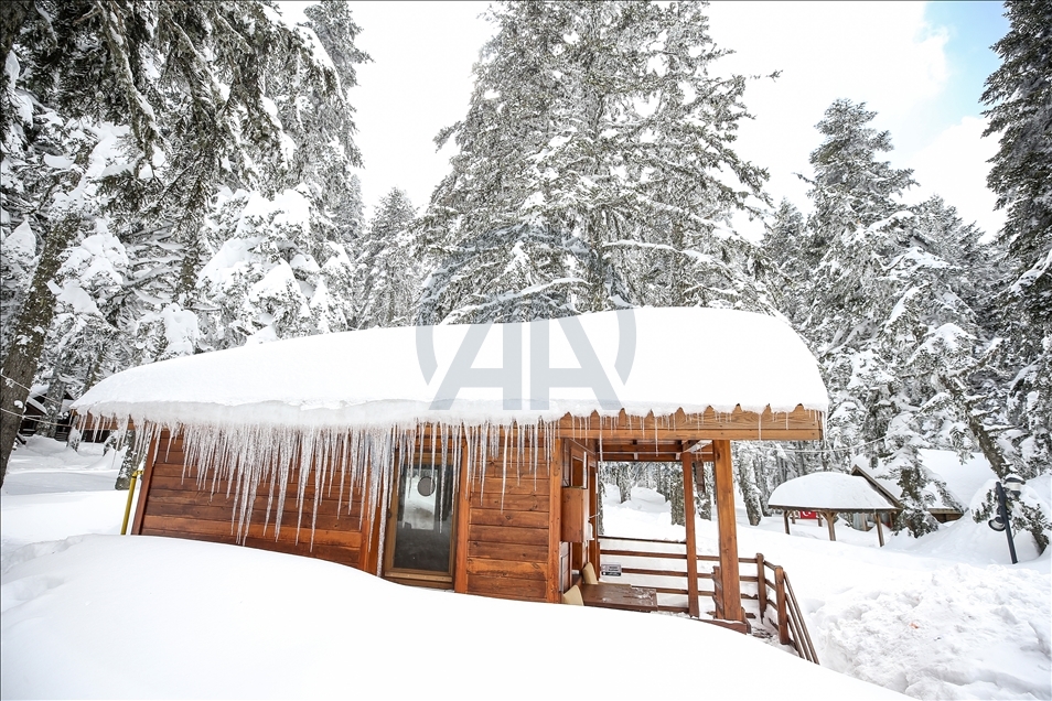 Forest mansions of Uludag draw attention with prolonged ski season in Bursa