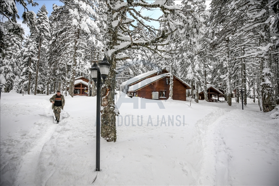 Forest mansions of Uludag draw attention with prolonged ski season in Bursa
