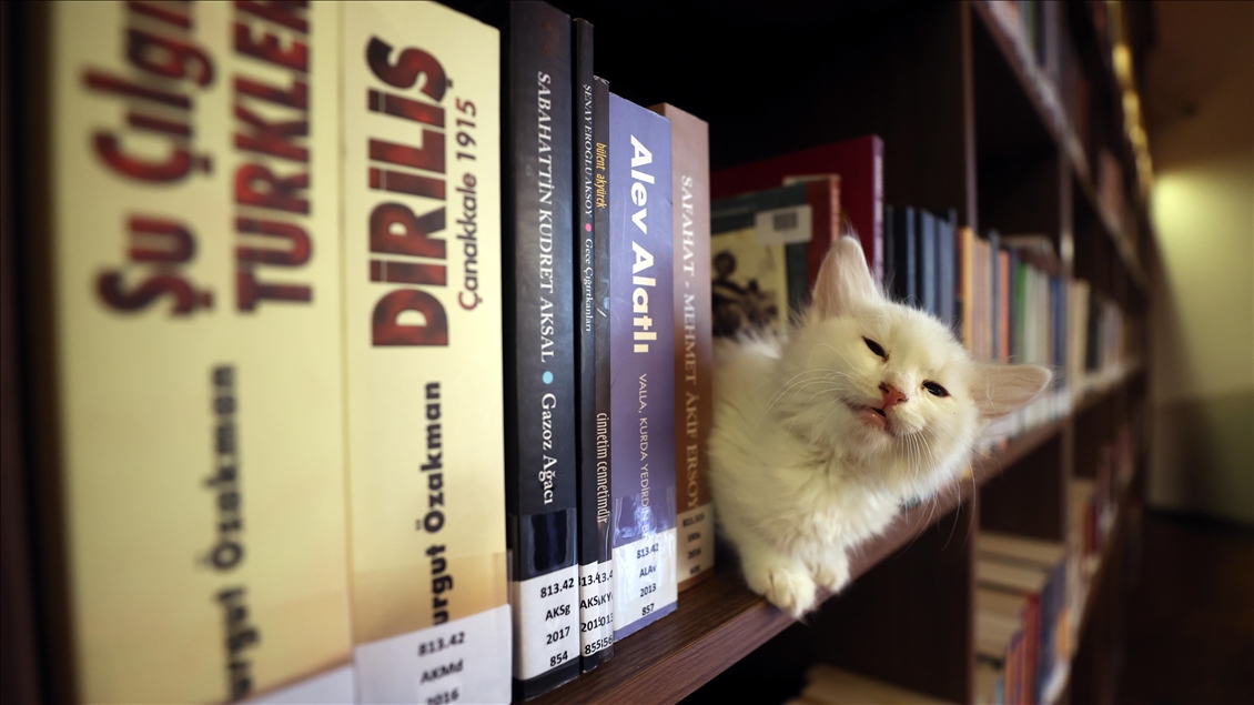 Kedili Tekke Millet Kıraathanesi, vatandaşlardan ilgi görüyor