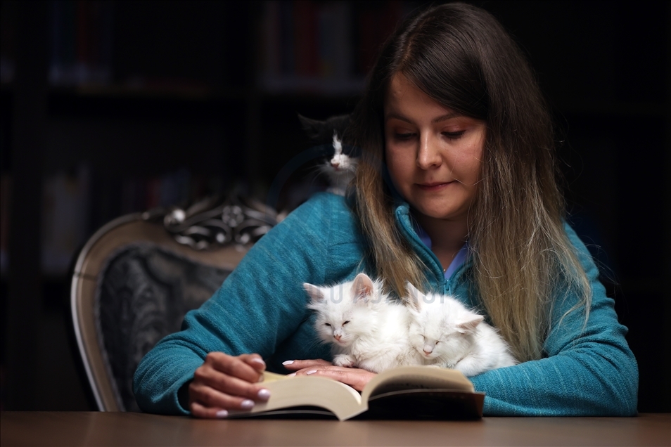 Historic library with cats in Turkey's Bursa