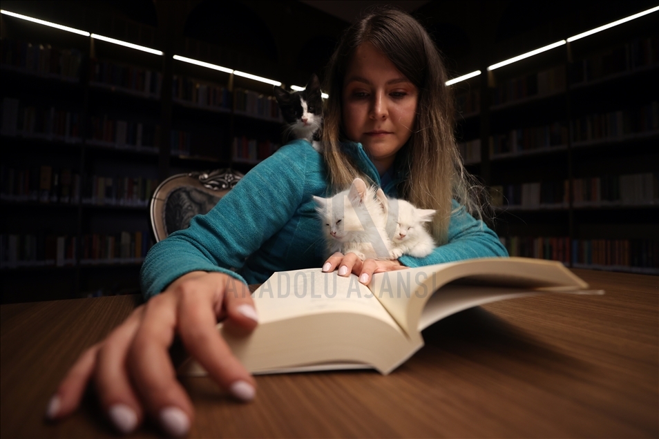 Historic library with cats in Turkey's Bursa