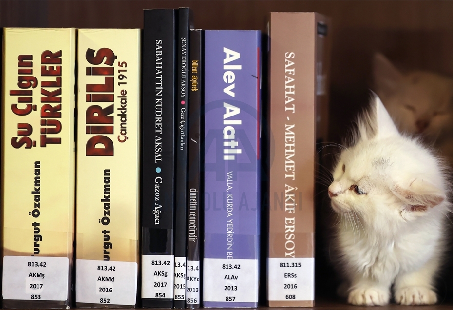 Kedili Tekke Millet Kıraathanesi, vatandaşlardan ilgi görüyor