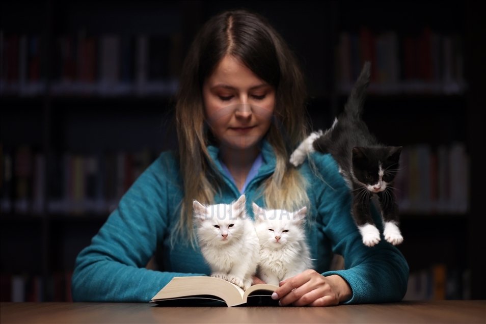 Kedili Tekke Millet Kıraathanesi, vatandaşlardan ilgi görüyor