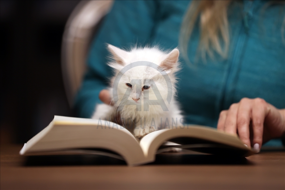 Kedili Tekke Millet Kıraathanesi, vatandaşlardan ilgi görüyor