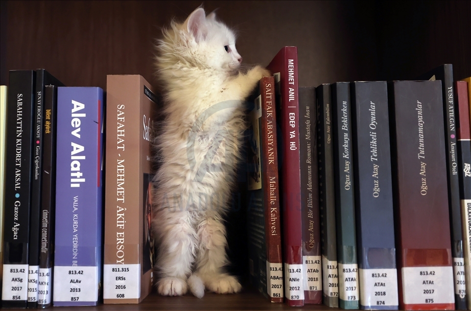 Kedili Tekke Millet Kıraathanesi, vatandaşlardan ilgi görüyor