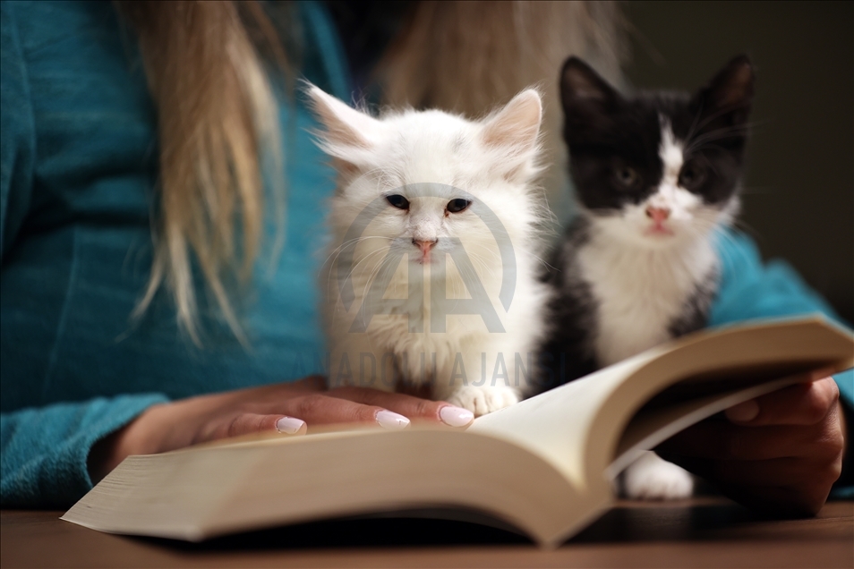 Kedili Tekke Millet Kıraathanesi, vatandaşlardan ilgi görüyor