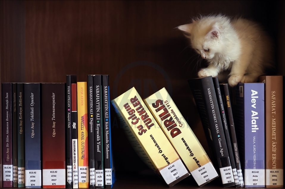 Kedili Tekke Millet Kıraathanesi, vatandaşlardan ilgi görüyor