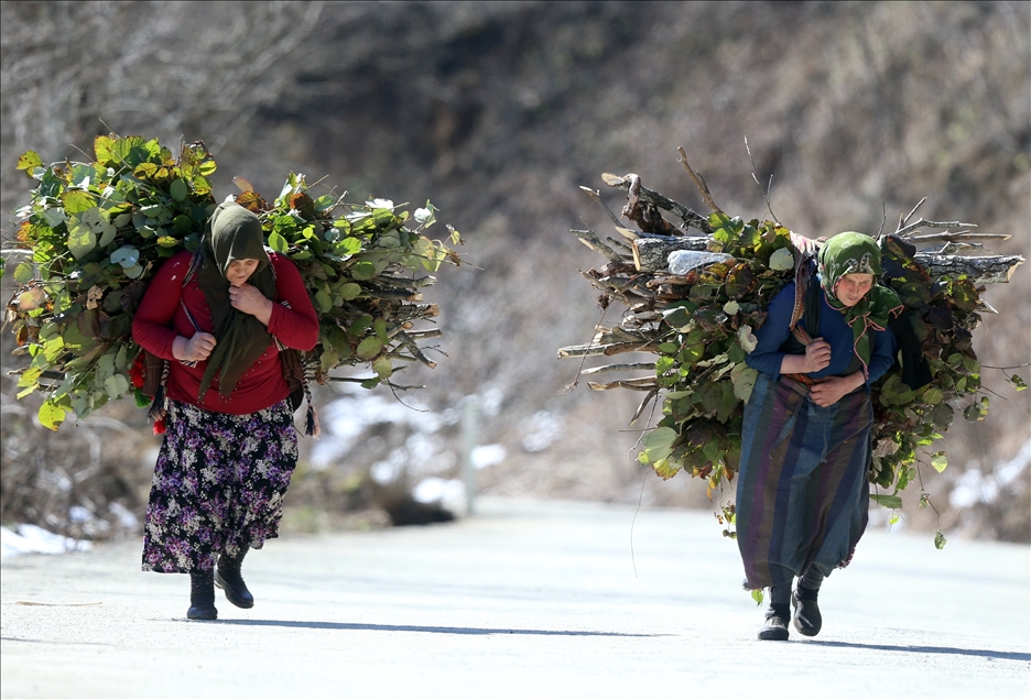 Doğu Karadenizli kadınların sabah başlayan yorucu mesaisi