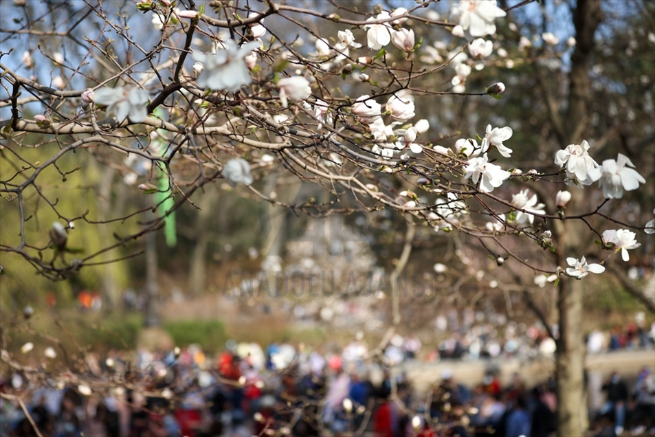 Vida cotidiana durante el Día de Pascua en Nueva York