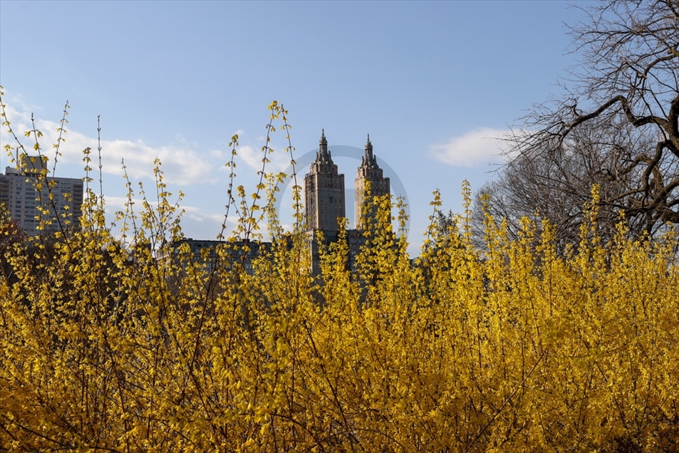 Vida cotidiana durante el Día de Pascua en Nueva York