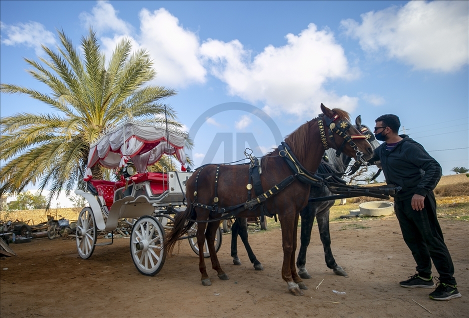 صناعة "الكاليس" في تونس.. حرفة يكاد يطويها النسيان