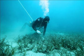 Pesca de pepino de mar con un enfoque ecológico en Turquía