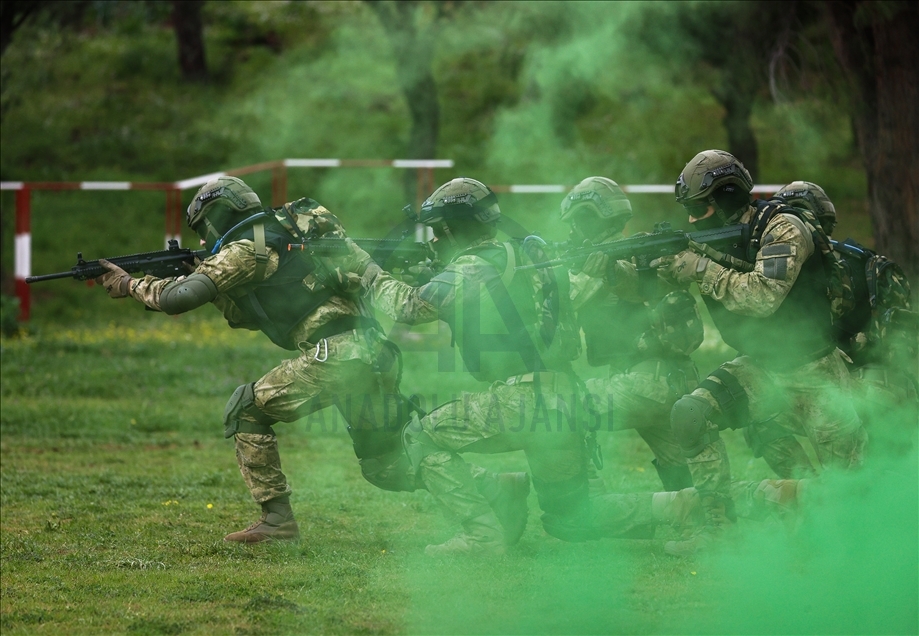 Amphibious Marine Brigade of Turkish Armed Forces