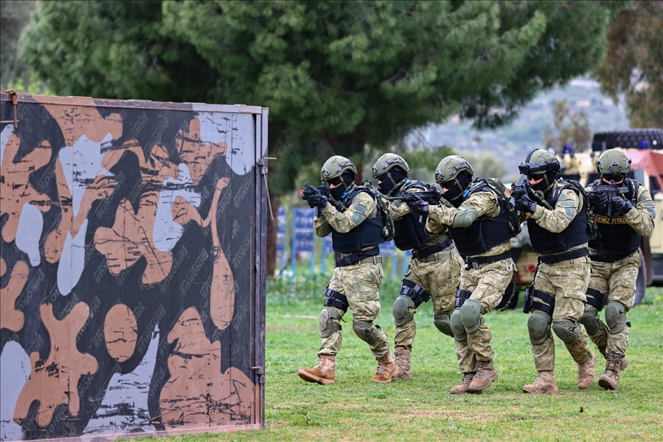 Amphibious Marine Brigade of Turkish Armed Forces
