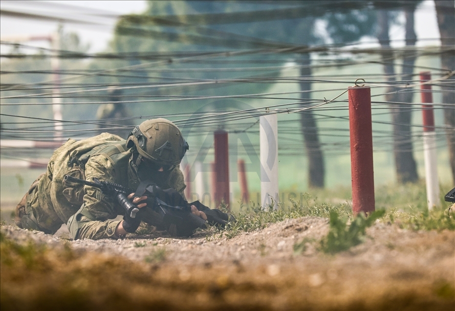 Amphibious Marine Brigade of Turkish Armed Forces