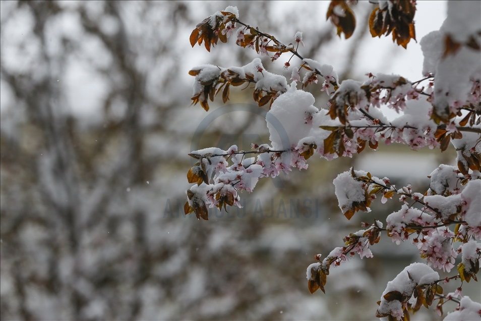 BiH: Iako je kalendarski proljeće, snijeg u aprilu prekrio ulice Sarajeva