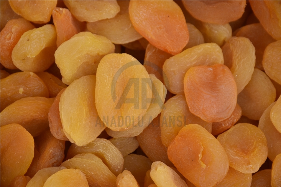 صادرات 216 میلیون دلاری برگه زردآلو از مالاتیای ترکیه