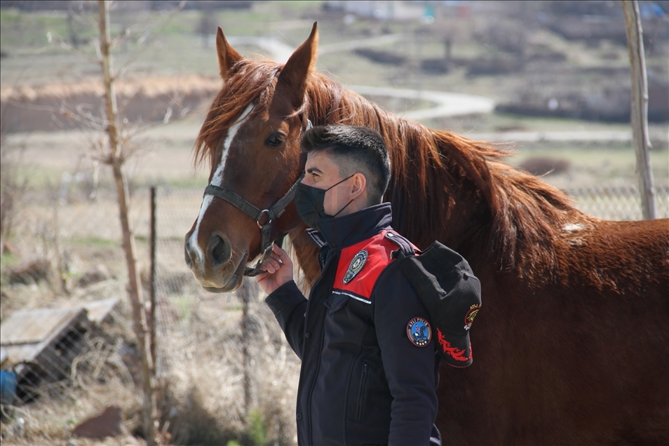 Atlı polisler vatandaşların huzur ve güvenliği için devriye geziyor