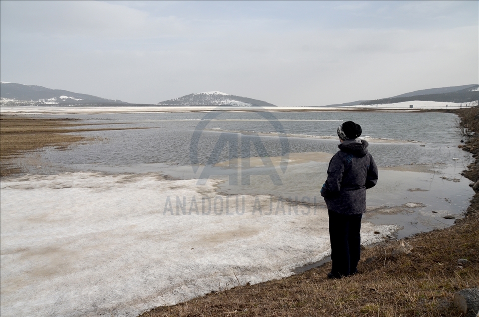 Li Qersê berf dihele, xweza zindî dibe û heywan derdikevin nêçîrê