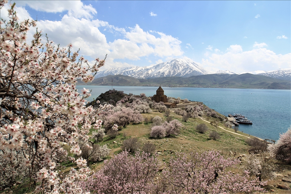 Akdamar Adası çiçek açan badem ağaçlarıyla farklı bir güzelliğe büründü