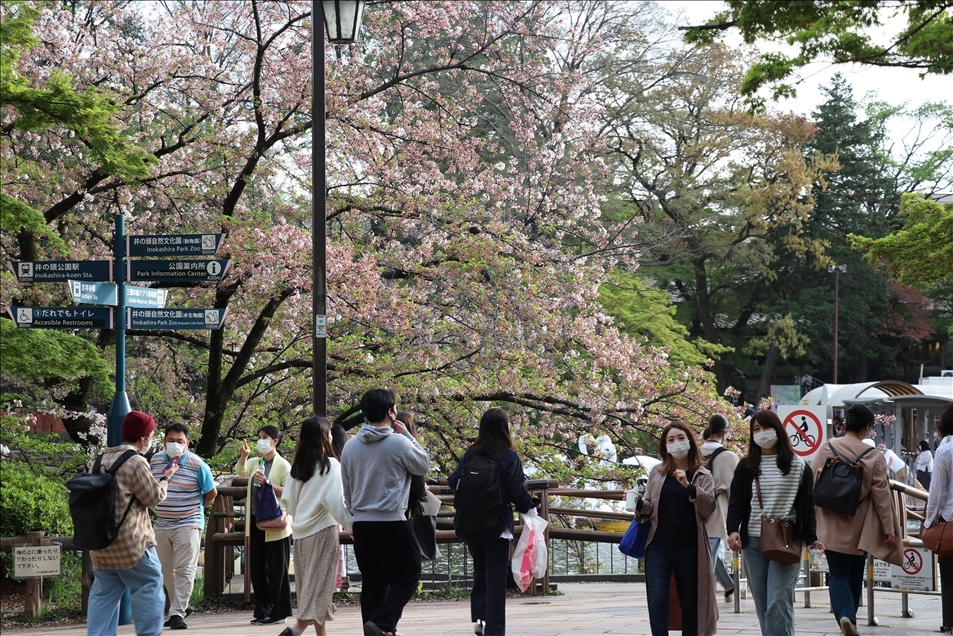 Parku japonez Inokashira tërheq shumë vizitorë me ardhjen e pranverës