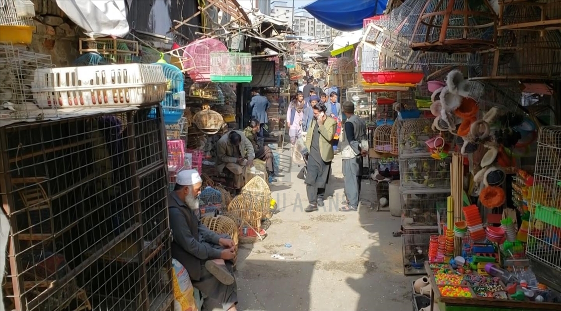 Afganistan halkı barış umuduyla ramazana hazırlanıyor