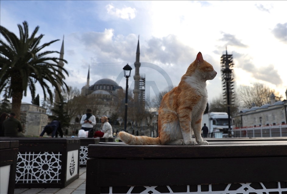 Covid-19 curfew in Istanbul