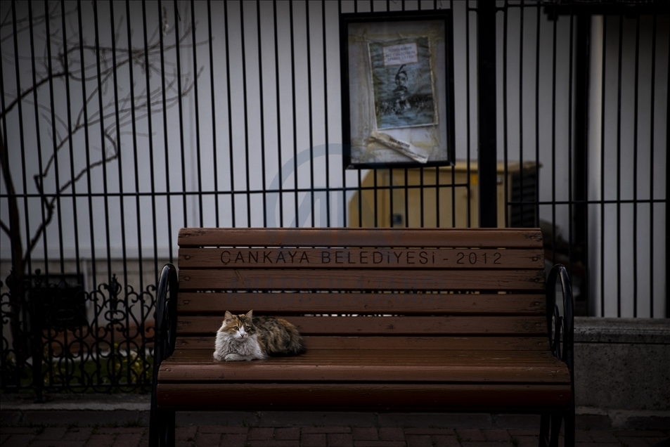 Covid-19 curfew in Ankara