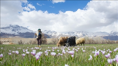 طبیعت بهاری در تونجلی ترکیه