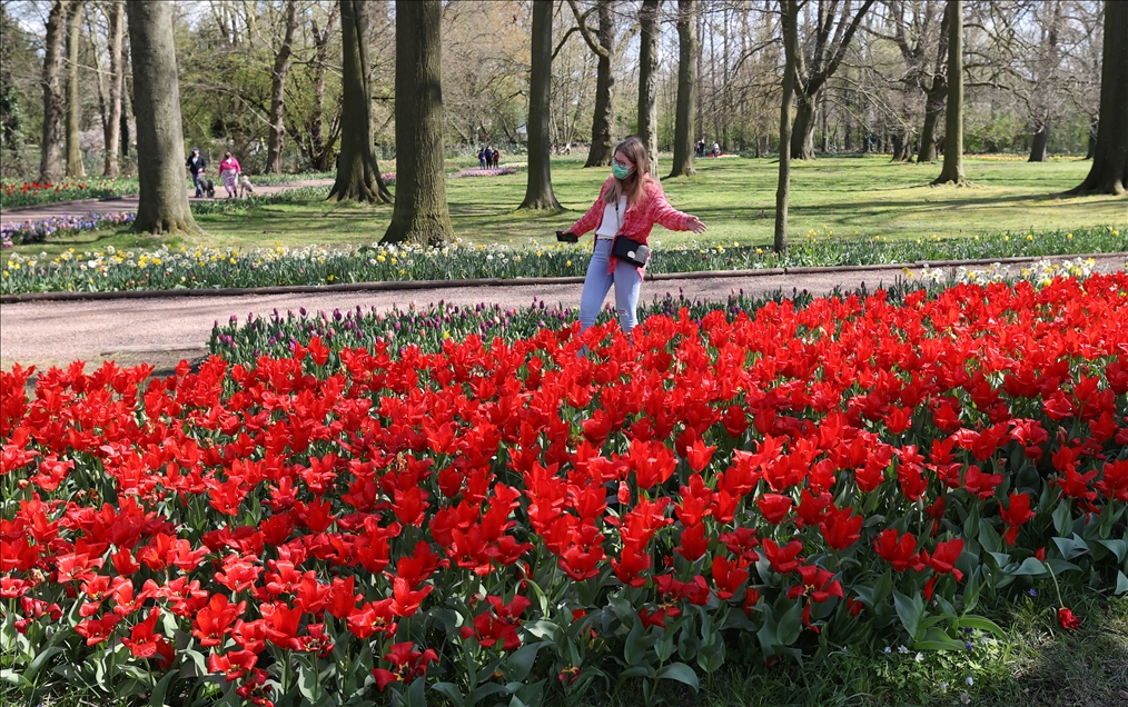 18th international flower exhibition at Grand Bigard Castle in Brussels