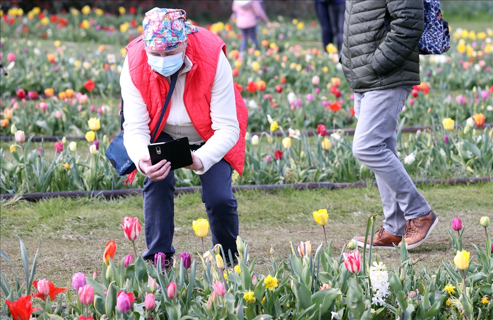 18th international flower exhibition at Grand Bigard Castle in Brussels