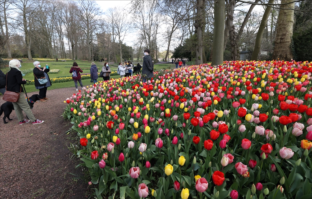 18th international flower exhibition at Grand Bigard Castle in Brussels