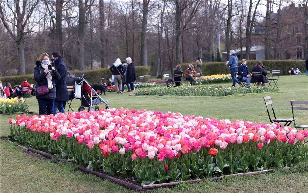 18th international flower exhibition at Grand Bigard Castle in Brussels