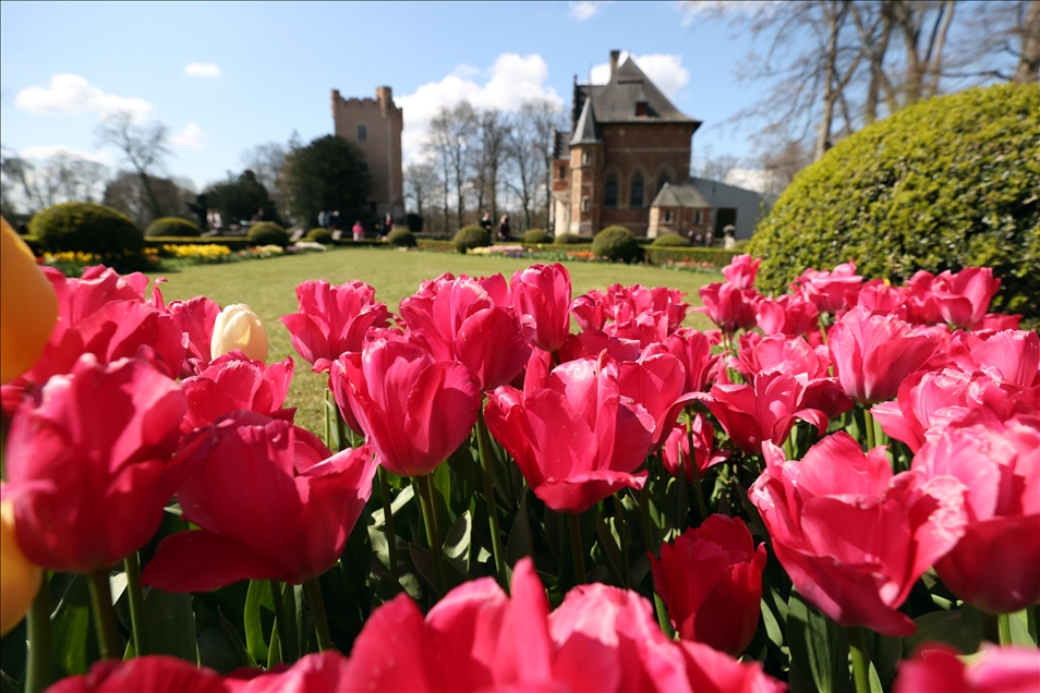 18th international flower exhibition at Grand Bigard Castle in Brussels