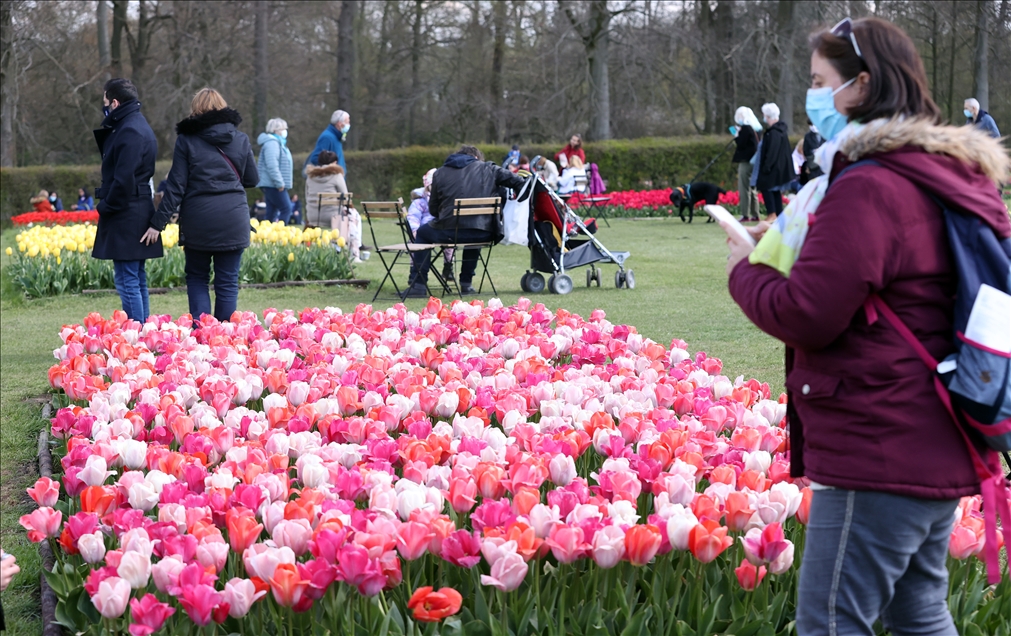 18th international flower exhibition at Grand Bigard Castle in Brussels