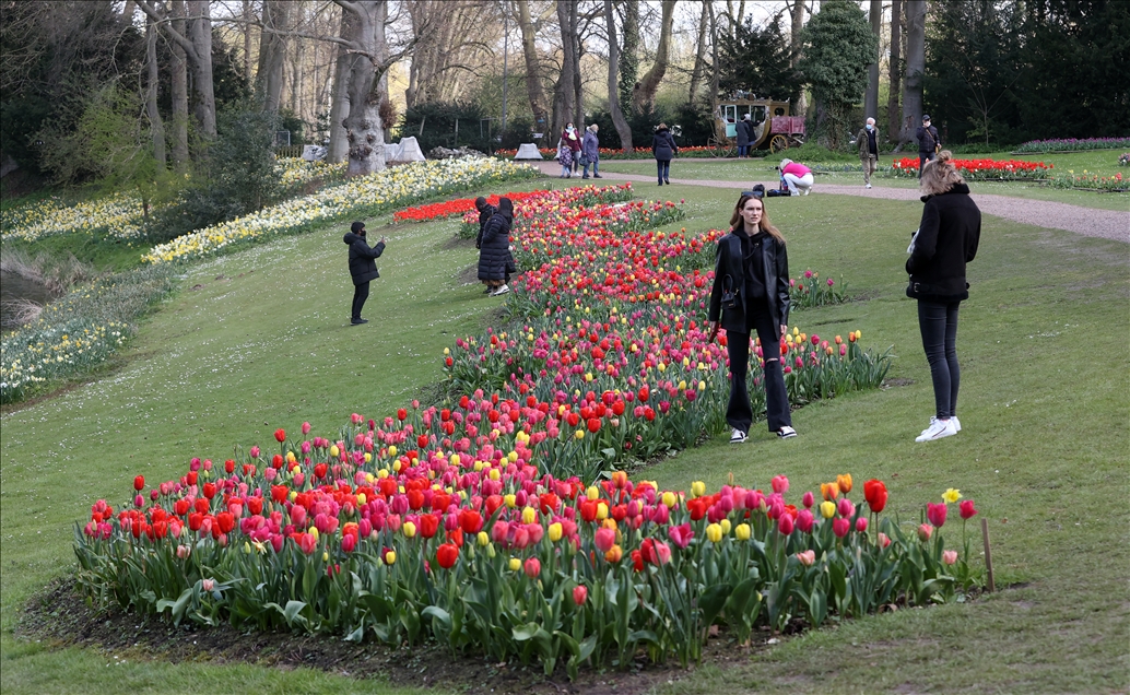 18th international flower exhibition at Grand Bigard Castle in Brussels