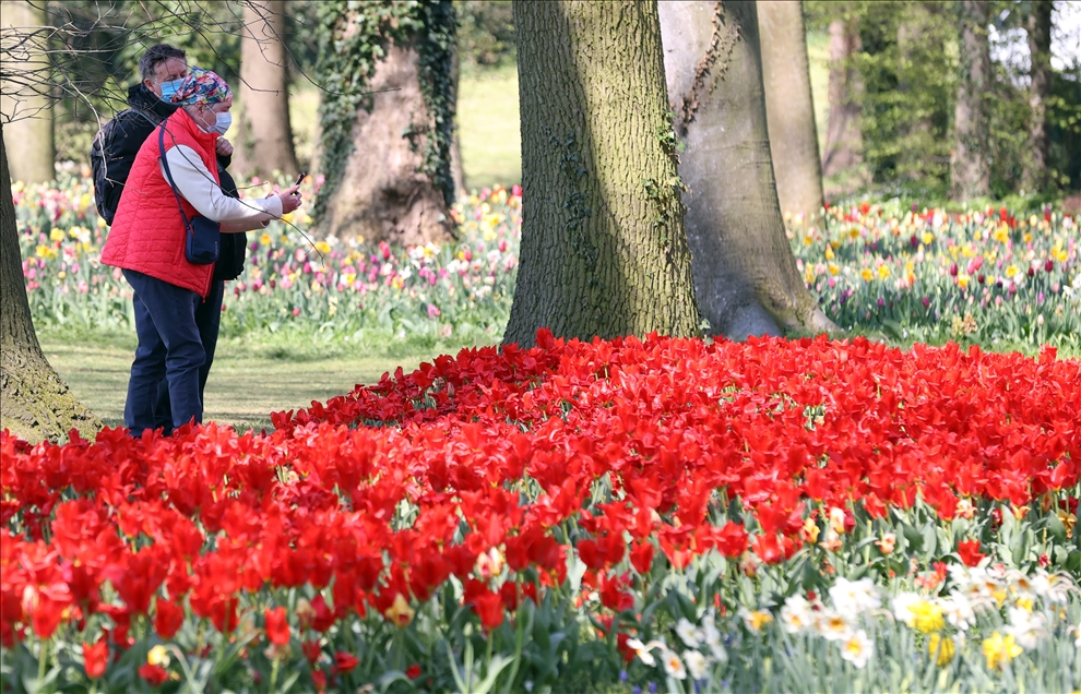18th international flower exhibition at Grand Bigard Castle in Brussels