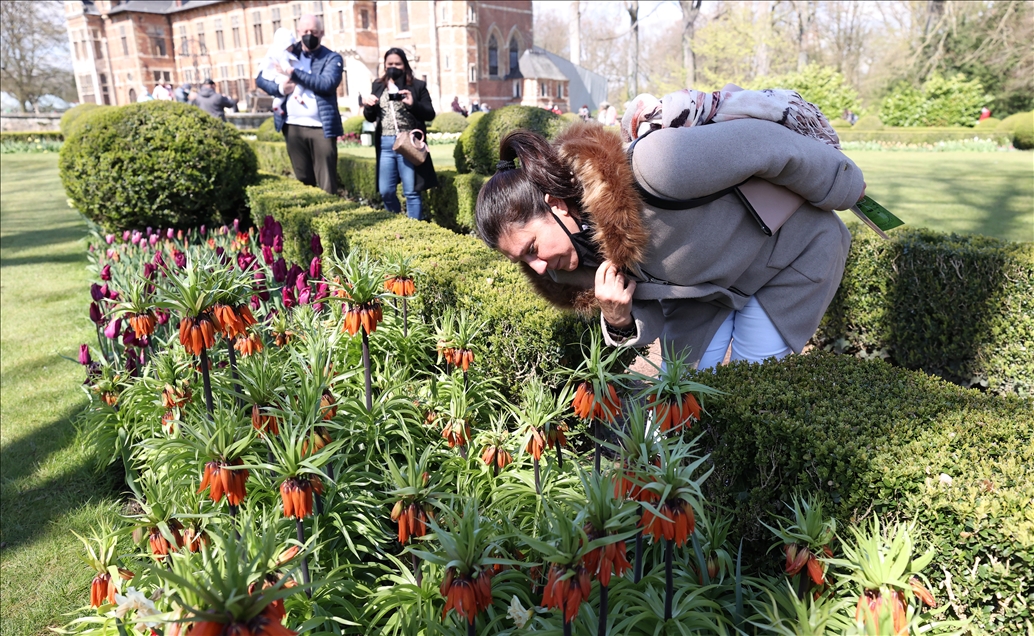 18th international flower exhibition at Grand Bigard Castle in Brussels