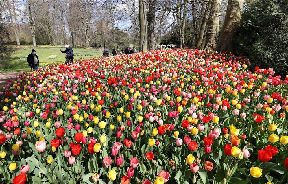 18th international flower exhibition at Grand Bigard Castle in Brussels
