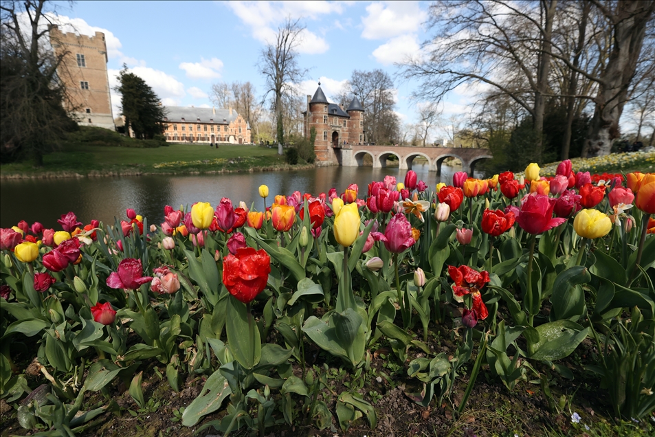 18th international flower exhibition at Grand Bigard Castle in Brussels
