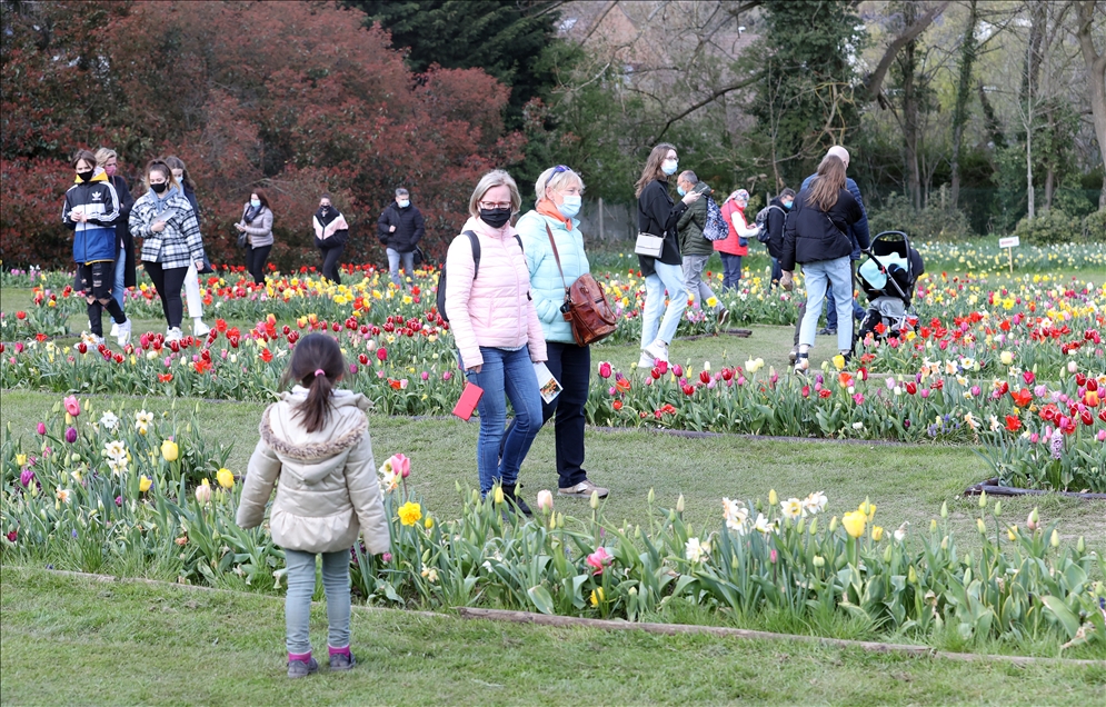 18th international flower exhibition at Grand Bigard Castle in Brussels